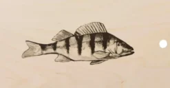 Ahven leikkuulauta