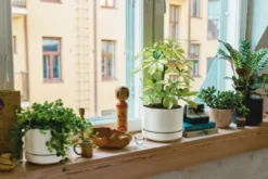 Arabia kukkaruukku SN 16cm matta valk.