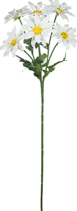 Finnmari Päivänkakkara oksa 60 cm