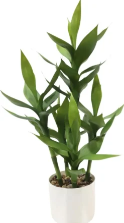 Finnmari Viherkasvi ruukussa 60 cm
