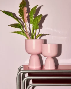 Iittala ruukku Nappula 230x155 mm matta ruusu