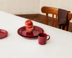 Iittala Teema muki 0,3 L kirsikka