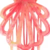 invisibobble CLIPSTAR Coral Hug hiusklipsi