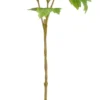 Mica decorations Sisustuskukka Heisi 81 cm vihreä