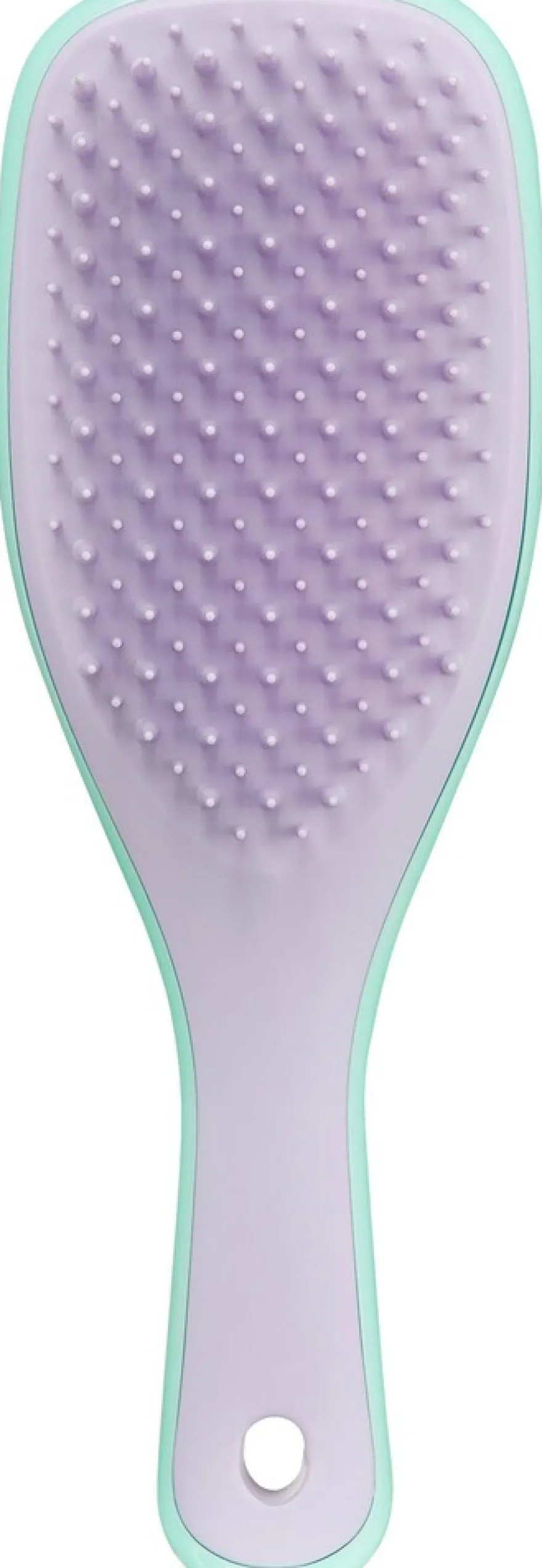 Tangle Teezer Ultimate Detangler Mini Wisteria Leaf -selvitysharja