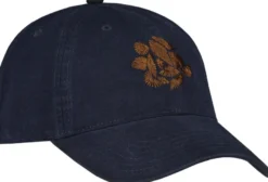 Upfront Don Dad Cap lippis